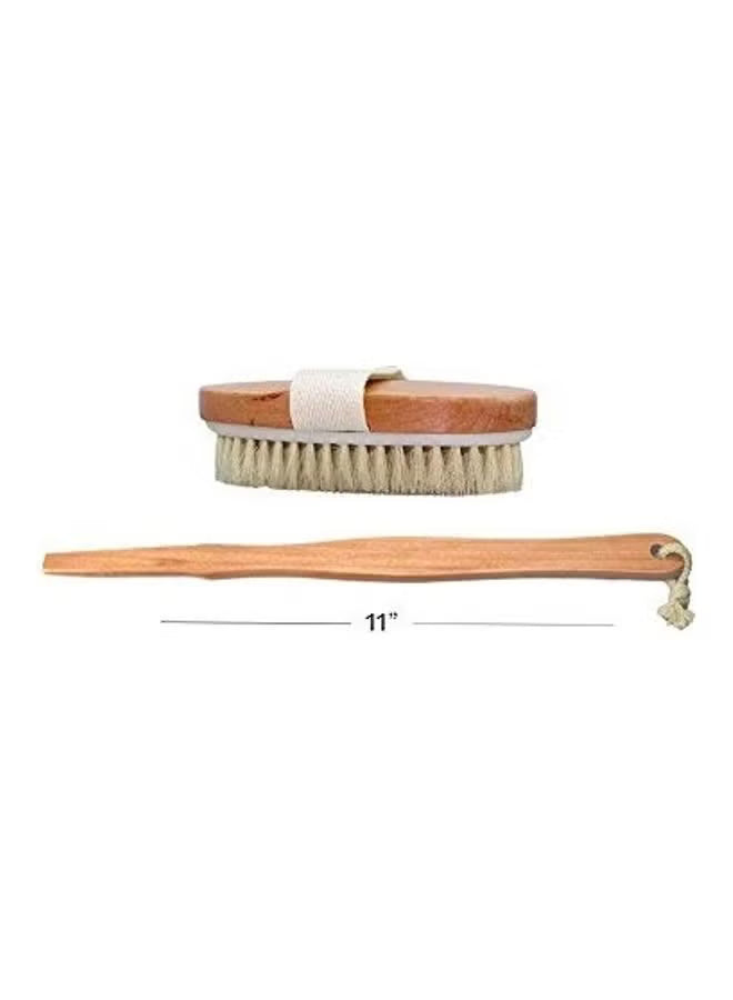 Dry Brush for Reducing Cellulite, Removing Dead Skin, Enhancing Skin Elasticity, Improving Blood Circulation & Stimulating Lymphatic System